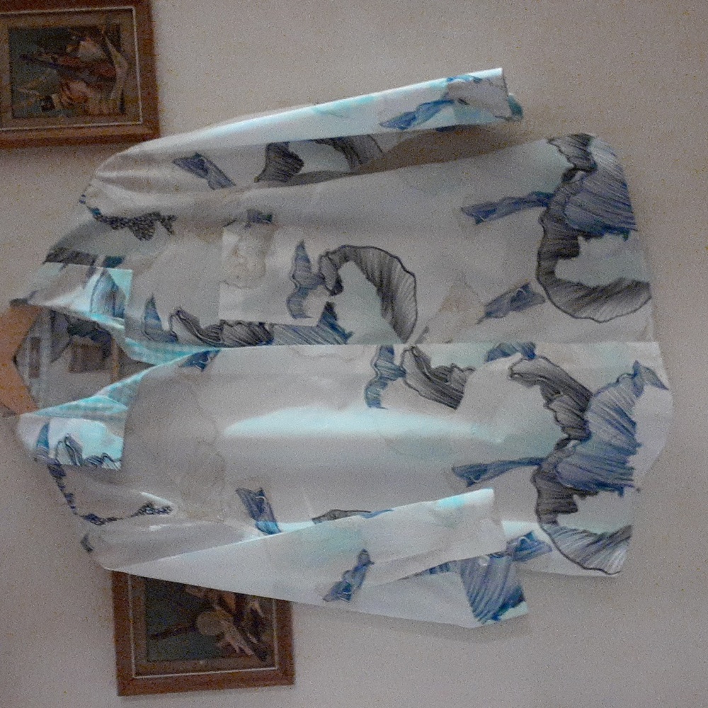 Chico's blouse